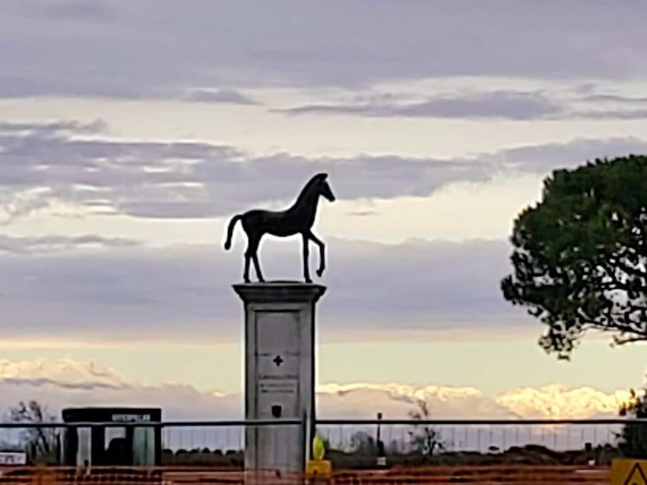Appartamento Con Vista A Cavallino Venezia Exteriör bild