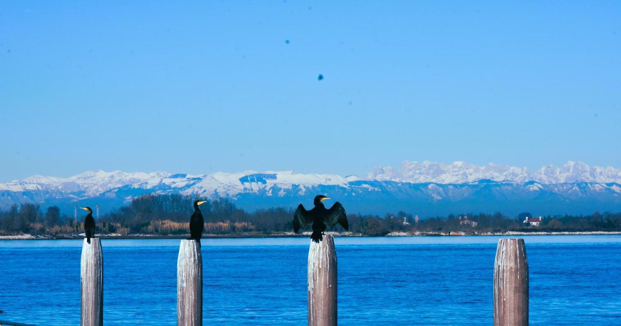 Appartamento Con Vista A Cavallino Venezia Exteriör bild